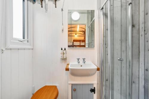 A szálláshely kívülről, Stag Shepherds Hut in Withyham