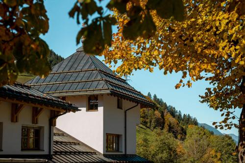 外部景觀, Dorf Loft Montafon by Pferd auf Wolke in 加斯修恩