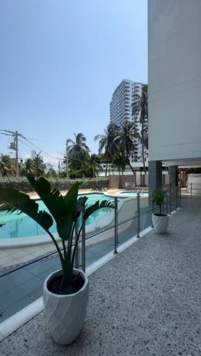 Espectacular apartaestudio en Laguito, Cartagena