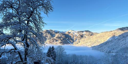 La Tiny de Queuvaz - Haute Savoie
