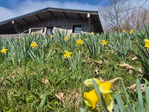 Chalet rénové avec sauna, proche Gérardmer