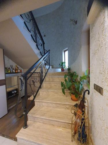 Casa Aura in Peştişu Mare