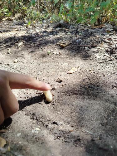 Casa de campo sendero al Ruco Pichincha in เบลิซาริโอ เกเบโด