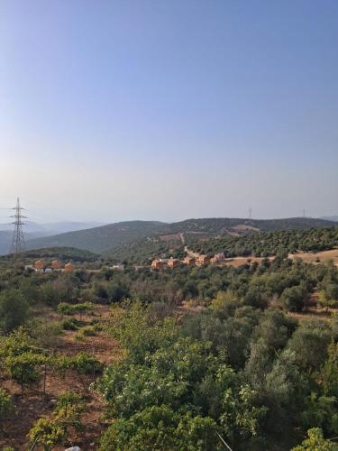 عجلون -ام الينابيع in อัญลูน