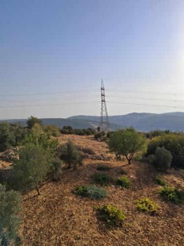 عجلون -ام الينابيع in อัญลูน