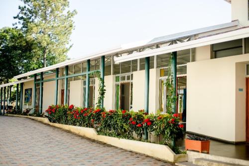 حديقة, Hostal Casa del Sol Apartamento in Suchitoto