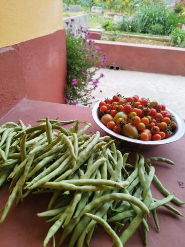 Mountain View Eco Farm in Lakhnath