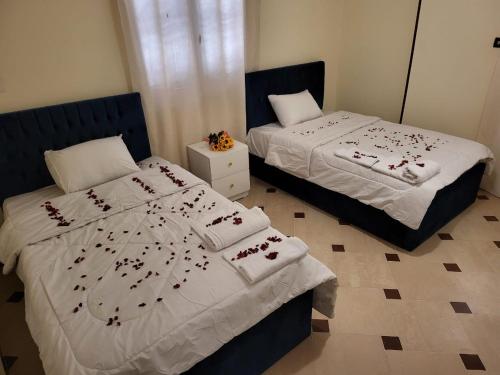 Lucky Pyramids View Inn - image 12