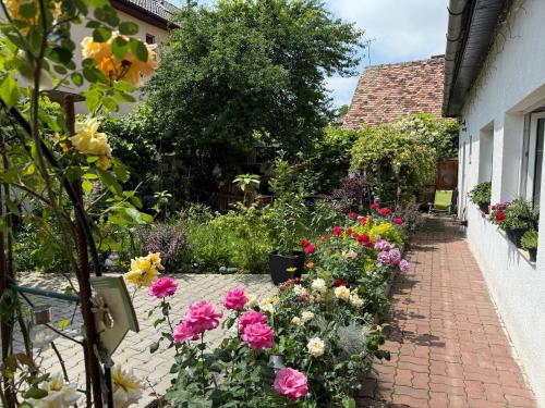 Chic Home, Sibiu (fotografie 5)