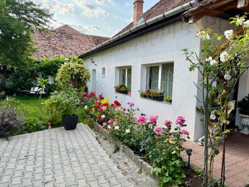 Chic Home, Sibiu (fotografie 4)