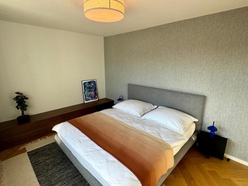 Luxury Penthouse - Castle View, Terrace, Center, Prag (Foto 7)