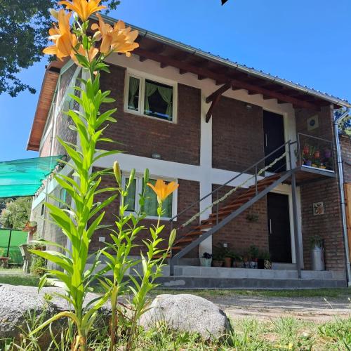 Viesnīcas āriene, Ecopuelo Departamentos in Lago Puelo