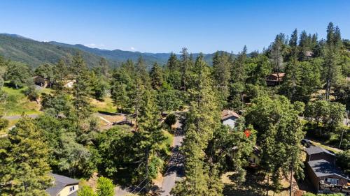 Cozy Mountain Cabin Yosemite Dodge Ridge Ski in Tuolumne (CA)