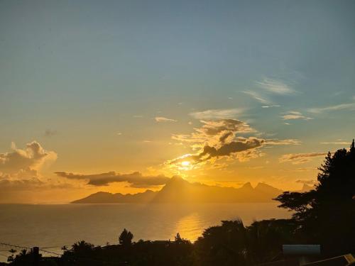 Ataoaoa iti Bungalow à Punaauia - photo 4 - Tahiti, Polynésie