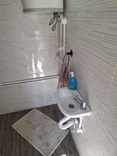 Kućica na žaru - Location saisonnière - Čačak