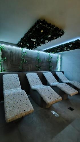 A2 Silver & SPA, Veliko Gradište (fotografie 6)