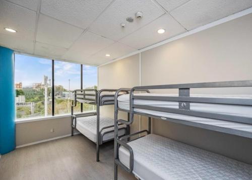 Stars Hostel, Auckland (foto 3)