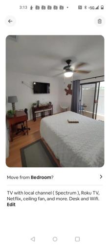 Cozy Retreat near the Beach in Tarpon Springs (Florida)