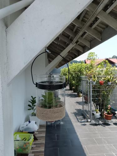 Ulek Cottage  in Batu Burok