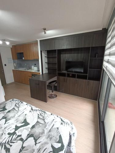 Dpto homestudio conce centro