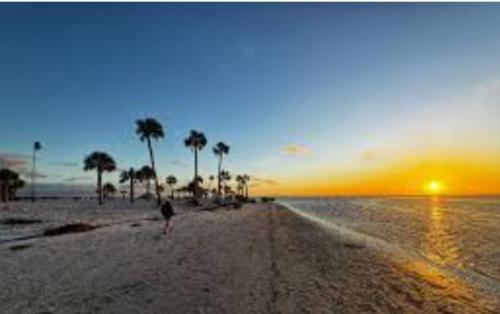 Cozy Retreat near the Beach in Tarpon Springs (Florida)