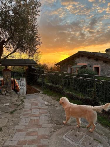 Casetta nel Podere di Massi