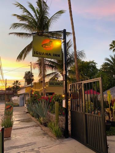 Iguana Inn 3