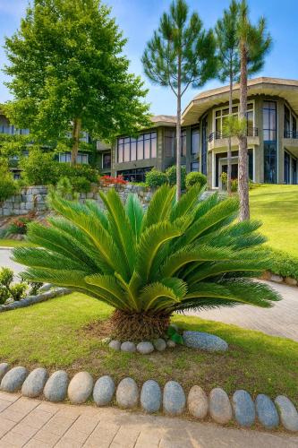 . Rock City Resort