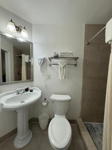 The Baron Hotel - image 7