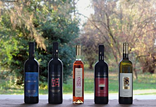 Agriturismo Gallegati 5