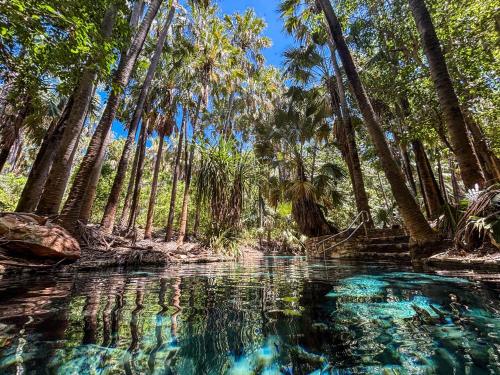 Забавления, Discovery Parks - Katherine River in Катерин