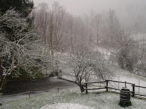 B&B Cascina Dei Levrieri