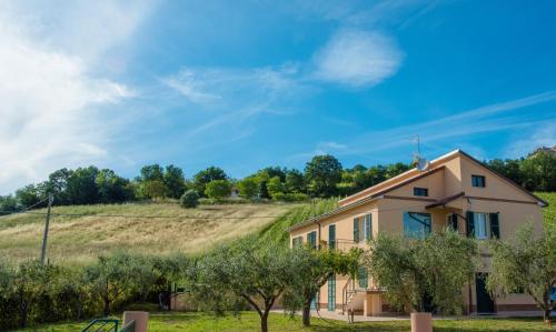 Ieeja, Le Vigne di Clementina Fabi in Montedinove