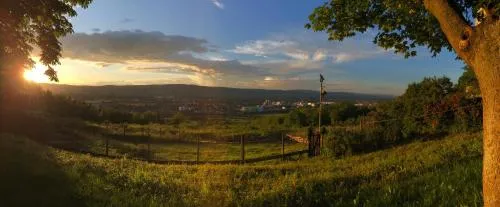 Pension Forstgut Waldeck in Ingelheim am Rhein, Deutschland