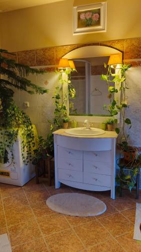 Pension Relax in Litomerice