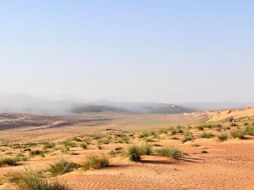 View, Stars Dunes Private Camp in A'Sharqiyah Sands (Wahiba)