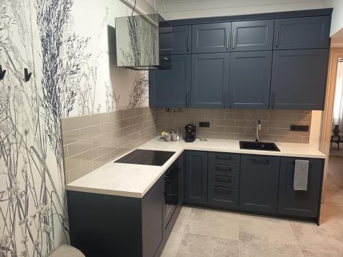 Suite 16 City Apartment Korneuburg in 科爾內伯格