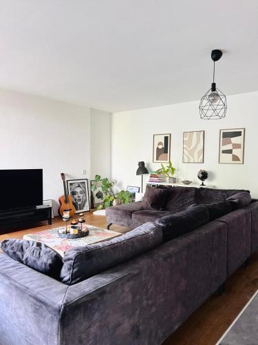 Big apartment surrounded by nature in Amsterdam
