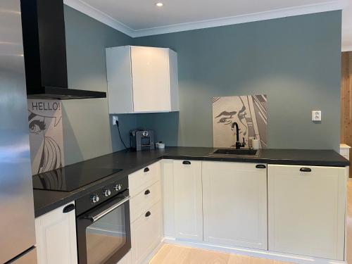 Modern Apartment near city center - Parking available in แซนฟยอร์ด