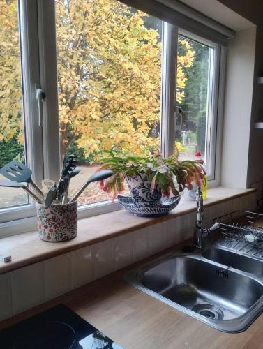 Peaceful 1 Bed Self-Contained Property with Parking gîte à louer University of Essex