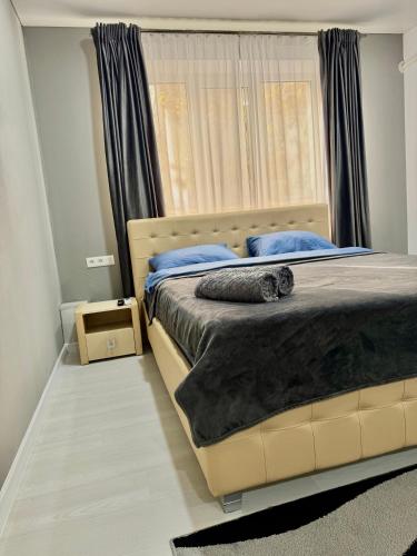 . Apartament Edinet-единец