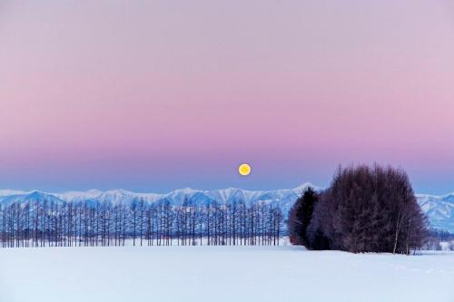 Asahikawa - House - Vacation STAY 78092v