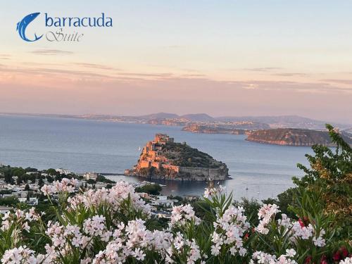 barracudasuite Room Type - Junior Suite with Terrace and Sea View