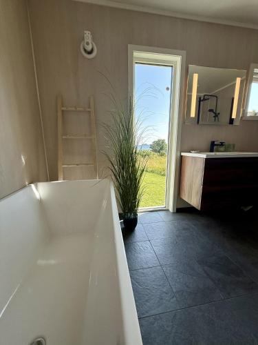 Peaceful retreat in Lofoten in Sennesvik