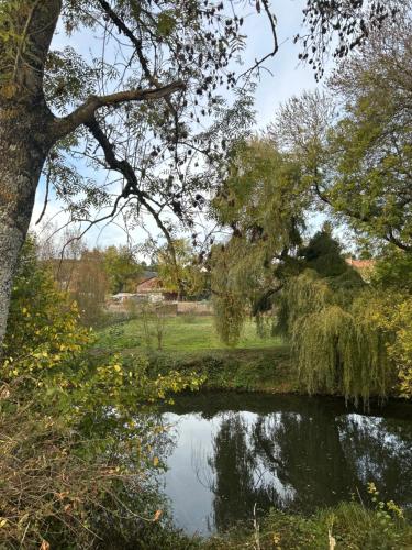 Le logis de Diane in Cande-sur-Beuvron