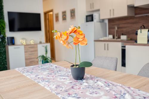 Facilities, ARKSIS Apartman in Sarvar