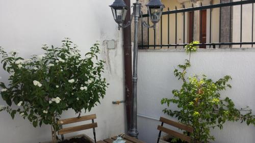 Casa Adel