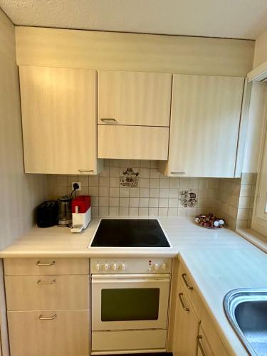 Simple 2BR Apartment with Natural Light, Zúrich (foto 4)