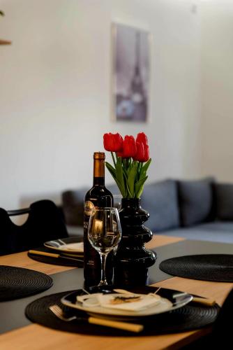 Panorama Elite - Location saisonnière - Vrnjačka Banja