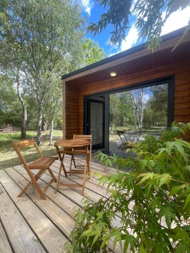 lodge arbolito